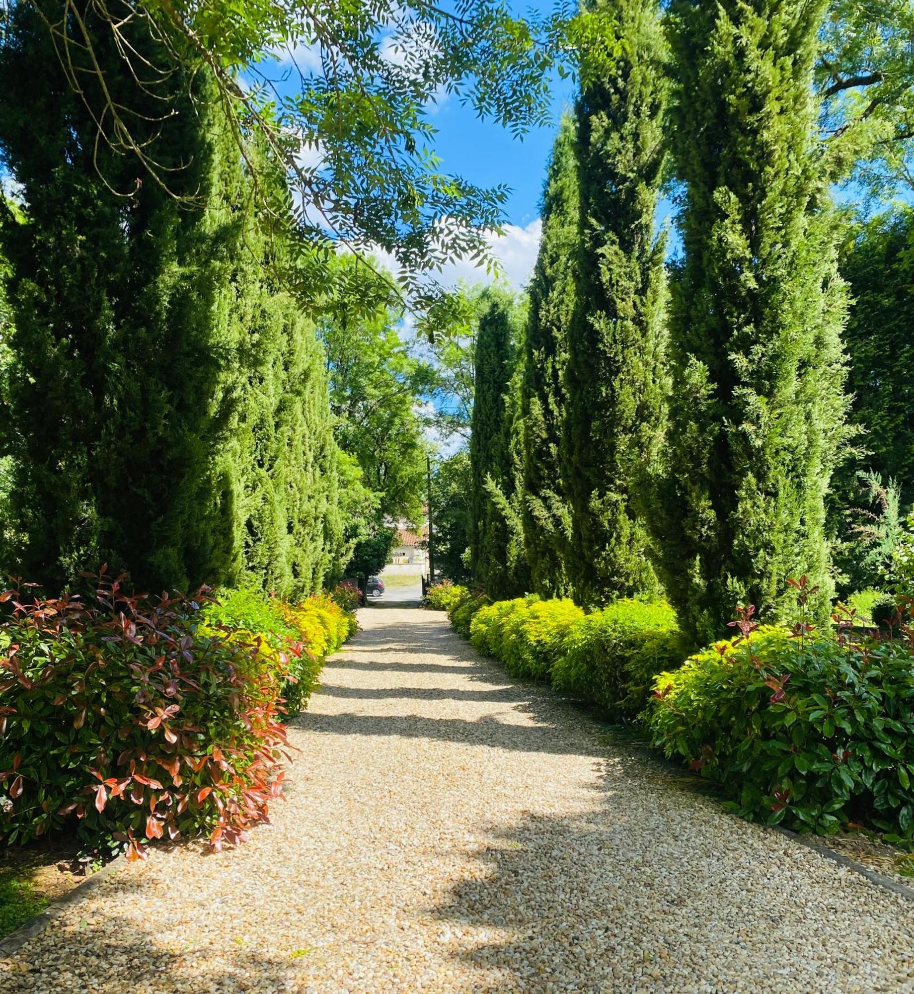 Moulin Du Fontcourt Bed & Breakfast Chasseneuil-sur-Bonnieure Exterior photo